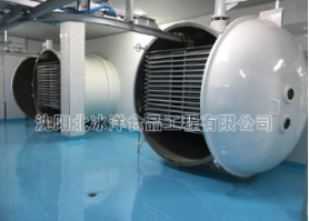 乌鲁木齐大型冻干机：提高产量因素